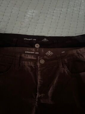 TWO Pairs St. John's Bay Women's Straight Leg Jeans in Deep Brown and Black